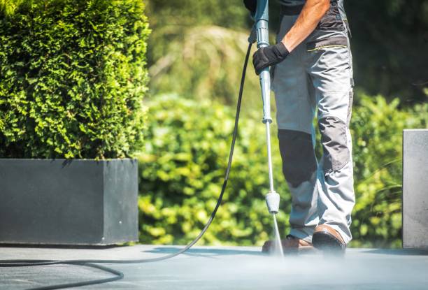 Best Soft Washing  in Union City, NJ