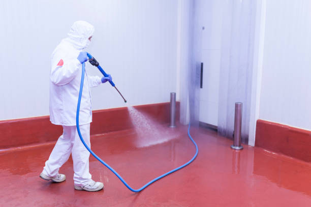 Best Spring Cleaning  in Union City, NJ